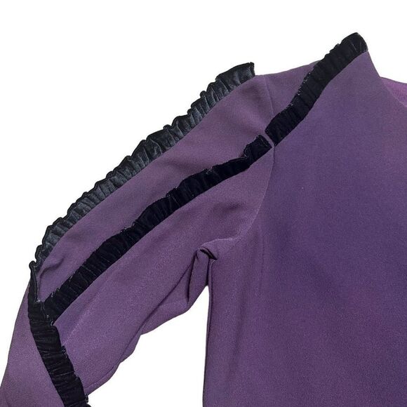 Elenore Blouse Women's Small Vintage 90s Ruffle Trim Raglan Purple Elegant Top - Picture 4 of 8
